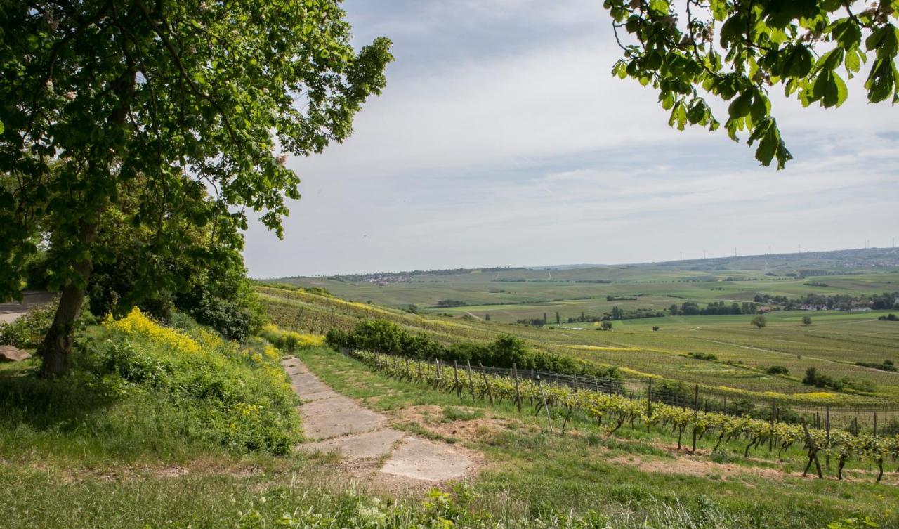 Hofgut Wissberg - Das Weinberghotel Sankt Johann  Esterno foto