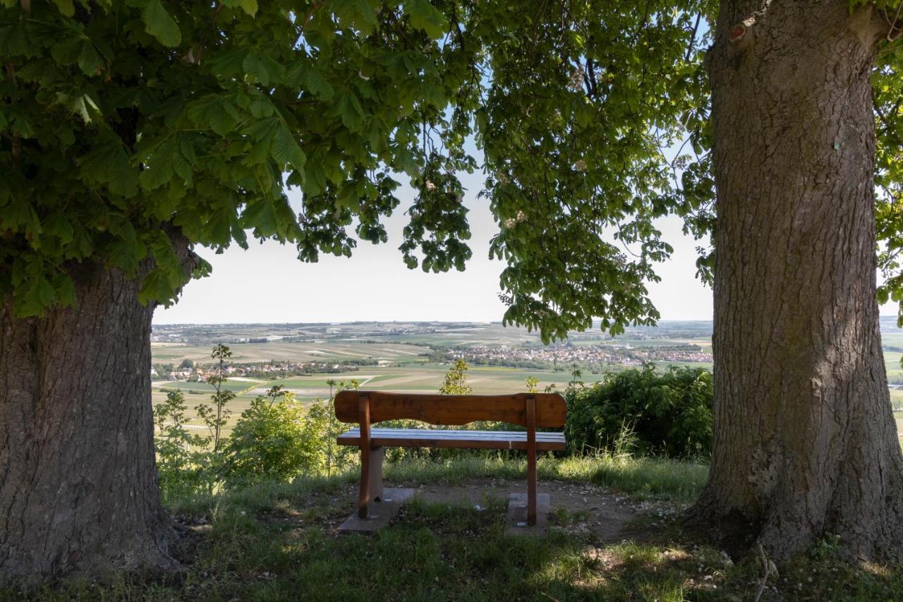 Hofgut Wissberg - Das Weinberghotel Sankt Johann  Esterno foto