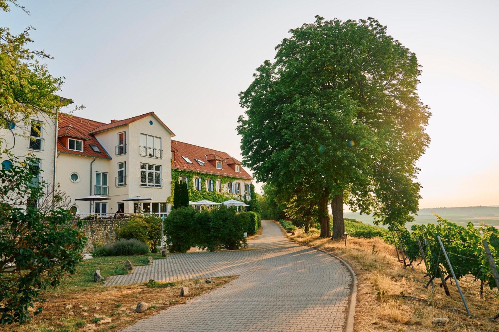 Hofgut Wissberg - Das Weinberghotel Sankt Johann  Esterno foto