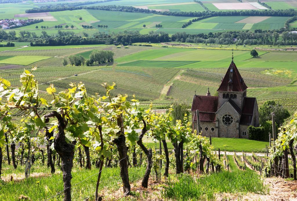 Hofgut Wissberg - Das Weinberghotel Sankt Johann  Esterno foto